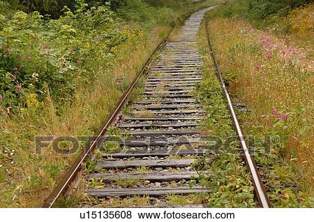 Railroad tracks, Shawnigan Lake, Vancouver Island, Canada View Large Photo Image Stock Photo - Railroad tracks, Shawnigan Lake, Vancouver Island, Canada. Fotosearch