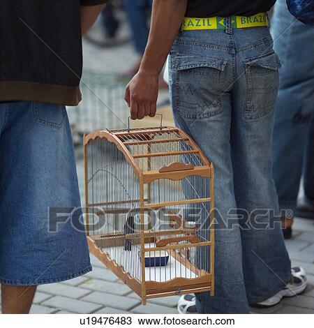 Rear view of a person holding a bird cage, Havana, Cuba View Large Photo Image Stock Image - Rear view of a person holding a bird cage, Havana, Cuba. Fotosearch