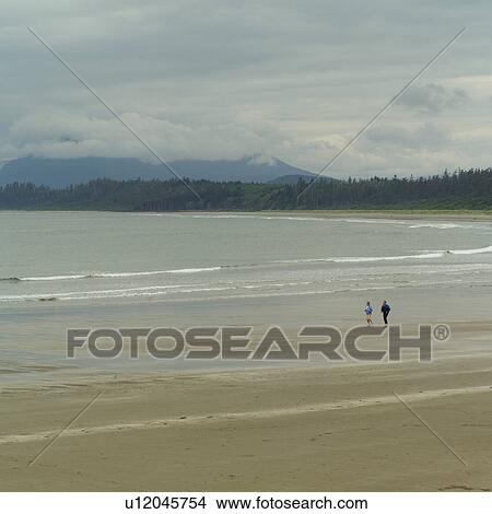 Picture - Seascape view, Pacific Rim Park, Vancouver Island, Canada. Fotosearch