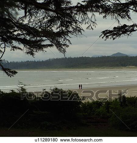 Seascape view, Wickaninnish Beach Trail, Vancouver Island, Canada View Large Photo Image Stock Image - Seascape view, Wickaninnish Beach Trail, Vancouver Island, Canada. Fotosearch