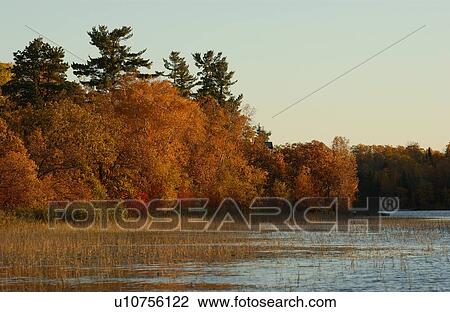 Stock Image - Shoreline of Lake with Autumn Colors. Fotosearch
