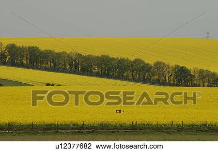 Stone Hedge - England View Large Photo Image Stock Image - Stone Hedge - England. Fotosearch