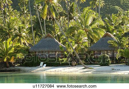 Thatched houses on a beach View Large Photo Image Picture - Thatched houses on a beach. Fotosearch