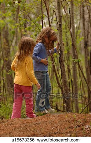 Two girls walking through forest View Large Photo Image Stock Photograph - Two girls walking through forest. Fotosearch