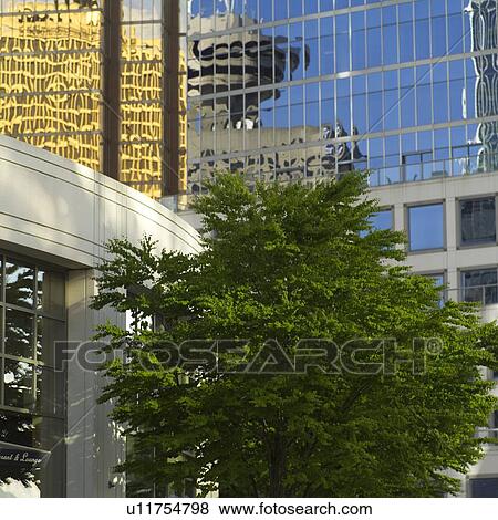 Vancouver, Canada - buildings in city centre View Large Photo Image Stock Photo - Vancouver, Canada - buildings in city centre. Fotosearch