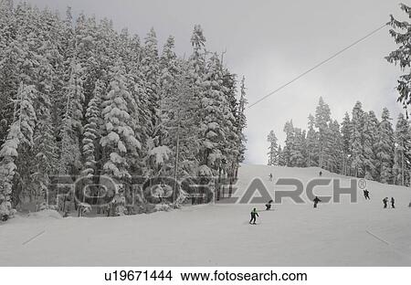 Whistler, B. C. Canada View Large Photo Image Picture - Whistler, B. C. Canada. Fotosearch