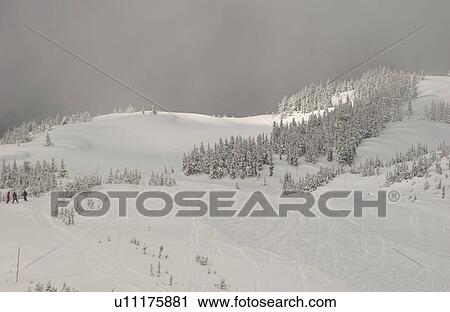 Whistler, B. C. Canada View Large Photo Image Stock Image - Whistler, B. C. Canada. Fotosearch