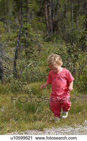Young girl (2-4) walking in a forest, Rocky Mountains, Canada View Large Photo Image Stock Image - Young girl (2-4) walking in a forest, Rocky Mountains, Canada. Fotosearch
