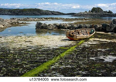 Arolainish Bay, Isle of Mull, Scotland, boat beached on shore at low tide, with rope covered in bright green sea weed View Large Photo Image Stock Photography - Arolainish Bay, Isle of Mull, Scotland, boat beached on shore at low tide, with rope covered in bright green sea weed. Fotosearch