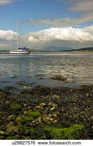 Stock Photograph - Boat moored near Connel Bridge, Loch Etive, Scotland, on sunny spring day. Fotosearch