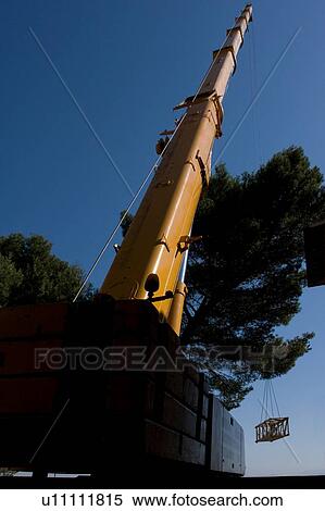 Crane tower pointing skyward, and crane part being swung in air for assembly View Large Photo Image Stock Photography - Crane tower pointing skyward, and crane part being swung in air for assembly. Fotosearch