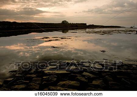 Evening light at Croag, Isle of Mull, Scotland View Large Photo Image Stock Photo - Evening light at Croag, Isle of Mull, Scotland. Fotosearch