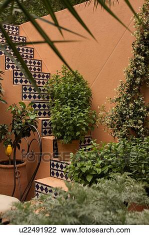 Italian style garden patio, Chelsea Flower show, with ceramic garden furniture, terracotta paving, stairs and plant pots View Large Photo Image Stock Image - Italian style garden patio, Chelsea Flower show, with ceramic garden furniture, terracotta paving, stairs and plant pots. Fotosearch