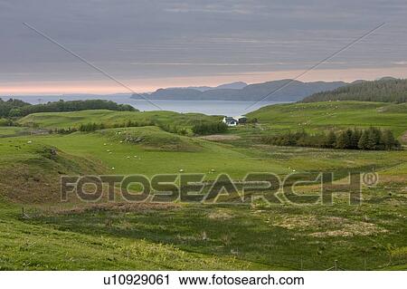 landscape view of Ardmore Point at sunset, Isle of Mull, Scotland View Large Photo Image Stock Image - landscape view of Ardmore Point at sunset, Isle of Mull, Scotland. Fotosearch