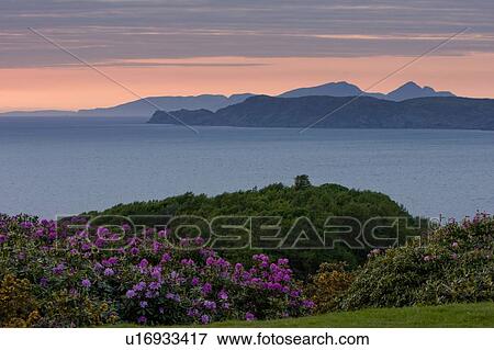 landscape view of Ardmore Point at sunset, Isle of Mull, Scotland, seen from Glengorm Castle View Large Photo Image Stock Photo - landscape view of Ardmore Point at sunset, Isle of Mull, Scotland, seen from Glengorm Castle. Fotosearch