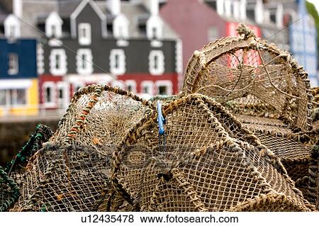 Lobster pots stacked on quay at Tobermory, Isle of Mull, with traditional brightly painted houses in background View Large Photo Image Stock Photo - Lobster pots stacked on quay at Tobermory, Isle of Mull, with traditional brightly painted houses in background. Fotosearch