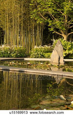 Stock Image - ornamental water garden with curved walkways, water lilies and bamboo, Chelsea Flower Show, late afternoon sunlight. Fotosearch
