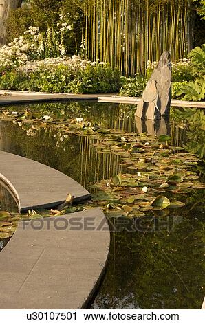 ornamental water garden with curved walkways, water lilies and bamboo, Chelsea Flower Show, late afternoon sunlight View Large Photo Image Stock Image - ornamental water garden with curved walkways, water lilies and bamboo, Chelsea Flower Show, late afternoon sunlight. Fotosearch