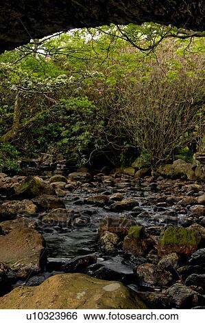 stream flowing under stone bridge, Isle of Mull, Scotland View Large Photo Image Stock Photograph - stream flowing under stone bridge, Isle of Mull, Scotland. Fotosearch
