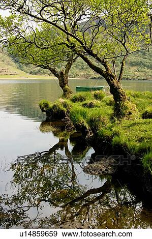 trees reflected in Loch Buie near Moy castle, Isle of Mull, Scotland View Large Photo Image Stock Photo - trees reflected in Loch Buie near Moy castle, Isle of Mull, Scotland. Fotosearch