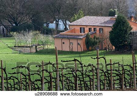 Stock Photo -  View of farmland, Umbria, Italy, with vineyards in early spring and red farmhouse in background. Fotosearch