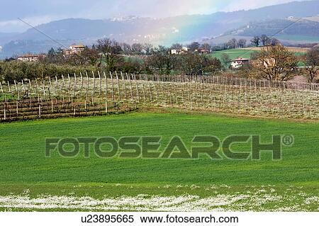 Stock Photography -  View of farmland, Umbria, Italy with rainbow . Fotosearch