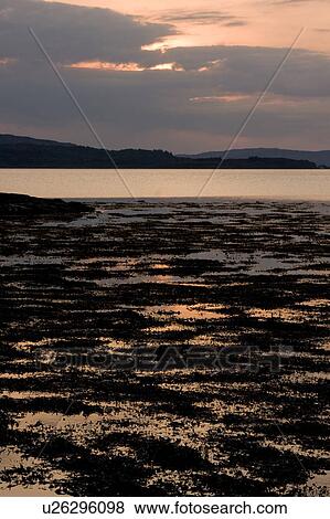 View of Loch Na Keal at sunset, Isle of Mull, Scotland, with tidal pools reflecting sky View Large Photo Image Stock Photo - View of Loch Na Keal at sunset, Isle of Mull, Scotland, with tidal pools reflecting sky. Fotosearch