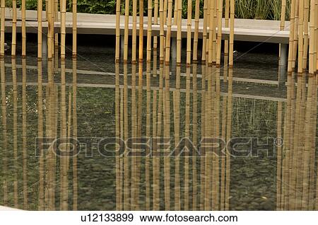 Stock Photo - water garden with bamboo reflection on pool, Chelsea Flower Show. Fotosearch