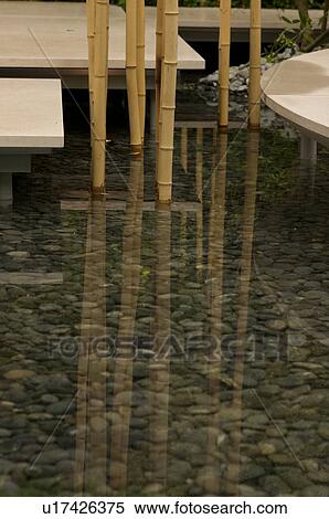 Stock Photography - water garden with bamboo reflection on pool, Chelsea Flower Show. Fotosearch