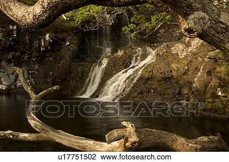 waterfall at Glenforsa falls, Isle of Mull, Scotland, framed by bare branches of tree View Large Photo Image Stock Image - waterfall at Glenforsa falls, Isle of Mull, Scotland, framed by bare branches of tree. Fotosearch