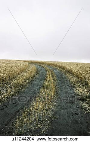 A path in a field View Large Photo Image Picture - A path in a field. Fotosearch