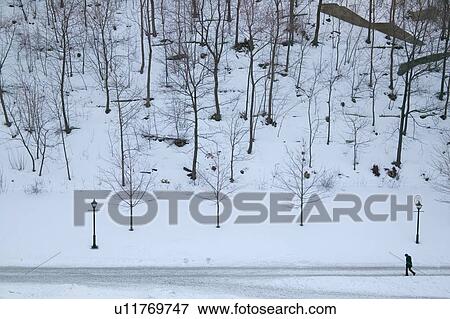A walk in the snow covered park, Ottawa, Canada View Large Photo Image Stock Photo - A walk in the snow covered park, Ottawa, Canada. Fotosearch