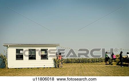 Stock Photo - Admission shed of corn maze, just outside Regina, Saskatchewan. Fotosearch