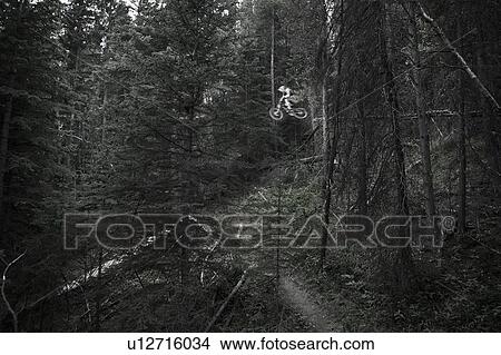Biker in mid-jump in forest; Canada, Alberta, Bragg Creek View Large Photo Image Picture - Biker in mid-jump in forest; Canada, Alberta, Bragg Creek. Fotosearch