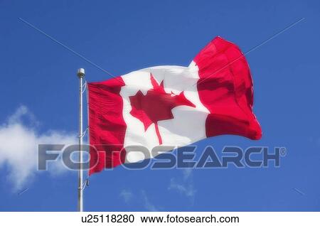 Stock Image - Canadian Maple Leaf - national flag, Halifax, Nova Scotia. Fotosearch