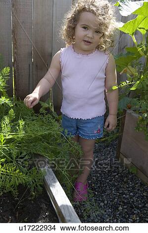 Child (female 2. 5 years) standing in garden, North Vancouver, BC View Large Photo Image Picture - Child (female 2. 5 years) standing in garden, North Vancouver, BC. Fotosearch