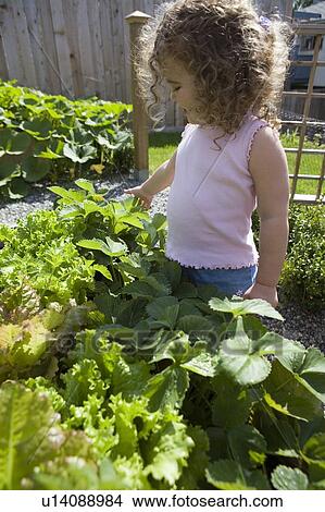 Child (female 2. 5 years) stands in garden, North Vancouver, BC View Large Photo Image Picture - Child (female 2. 5 years) stands in garden, North Vancouver, BC. Fotosearch