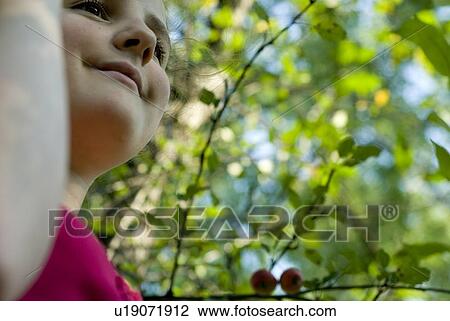 Close up of girl beside tree, Winnipeg, Canada View Large Photo Image Stock Image - Close up of girl beside tree, Winnipeg, Canada. Fotosearch