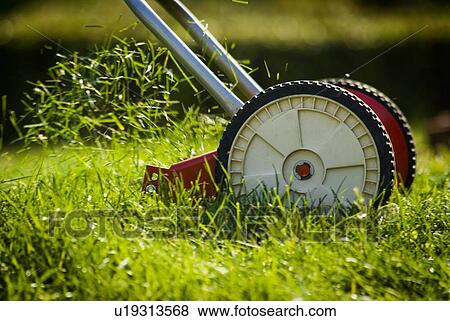 Stock Photo - Close-up of reel mower, Regina, Saskatchewan. Fotosearch