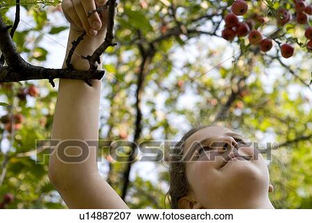Stock Photo - Close up of twelve year old girl looking upward to branches of crabapple tree, Winnipeg, Canada. Fotosearch