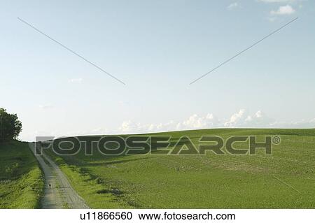Country laneway in green field; Canada, Manitoba, Erickson View Large Photo Image Stock Image - Country laneway in green field; Canada, Manitoba, Erickson. Fotosearch