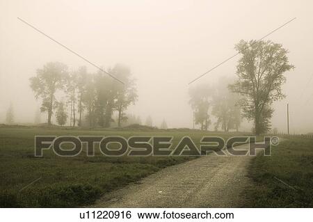 Stock Photograph - Country scene in the mist. Fotosearch