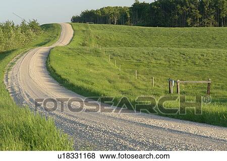 Curving gravelled road in countryside; Canada, Manitoba, Erickson View Large Photo Image Stock Photo - Curving gravelled road in countryside; Canada, Manitoba, Erickson. Fotosearch