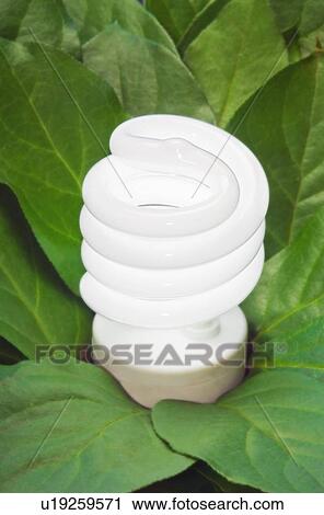 Stock Image - Energy-saving light bulb.. Fotosearch