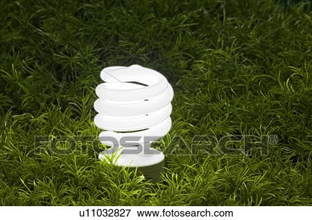 Stock Photo - Energy-saving light bulb.. Fotosearch