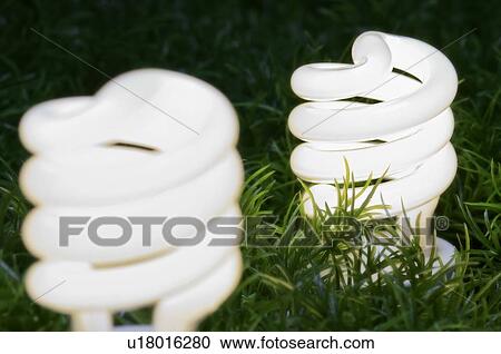 Stock Image - Energy-saving light bulbs.. Fotosearch