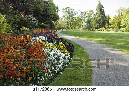 Flower garden and pathway, Beacon Hill Park, Victoria, BC, Canada View Large Photo Image Stock Image - Flower garden and pathway, Beacon Hill Park, Victoria, BC, Canada. Fotosearch