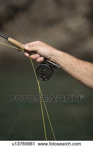 Stock Image - Fly-fishing guide, Russ Trand, fly-fishing on tributary of Elk River near Fernie, Elk Valley, East Kootenays, British Columbia, Canada.. Fotosearch