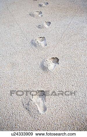 Stock Photo - Footprints on sand, Jacksonville, Florida. Fotosearch
