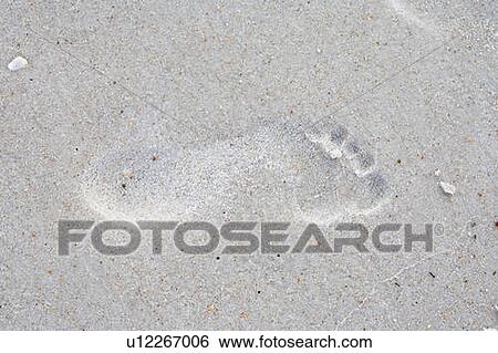 Stock Photograph - Footprints on sand, Jacksonville, Florida. Fotosearch